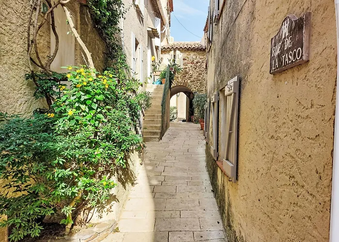 Le Jardin D'artemis-2 By Interhome Saint-Tropez